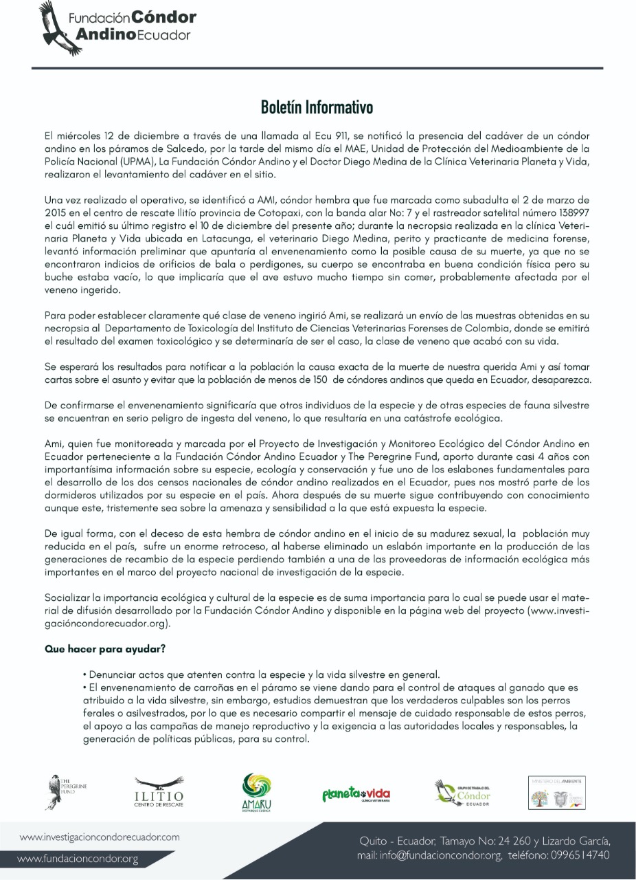 Boletiìn informativo Muerte Ami